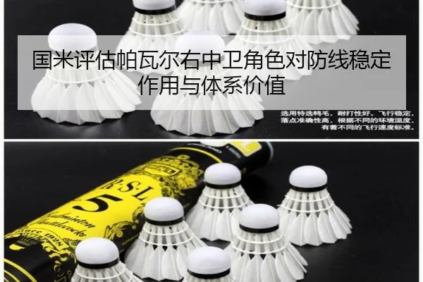 国米评估帕瓦尔右中卫角色对防线稳定作用与体系价值